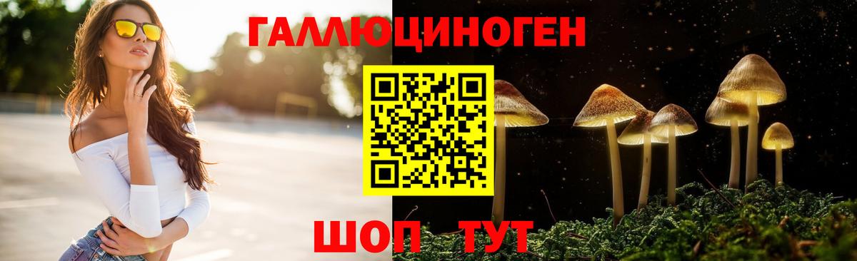 Псилоцибиновые грибы MAGIC MUSHROOMS Нальчик