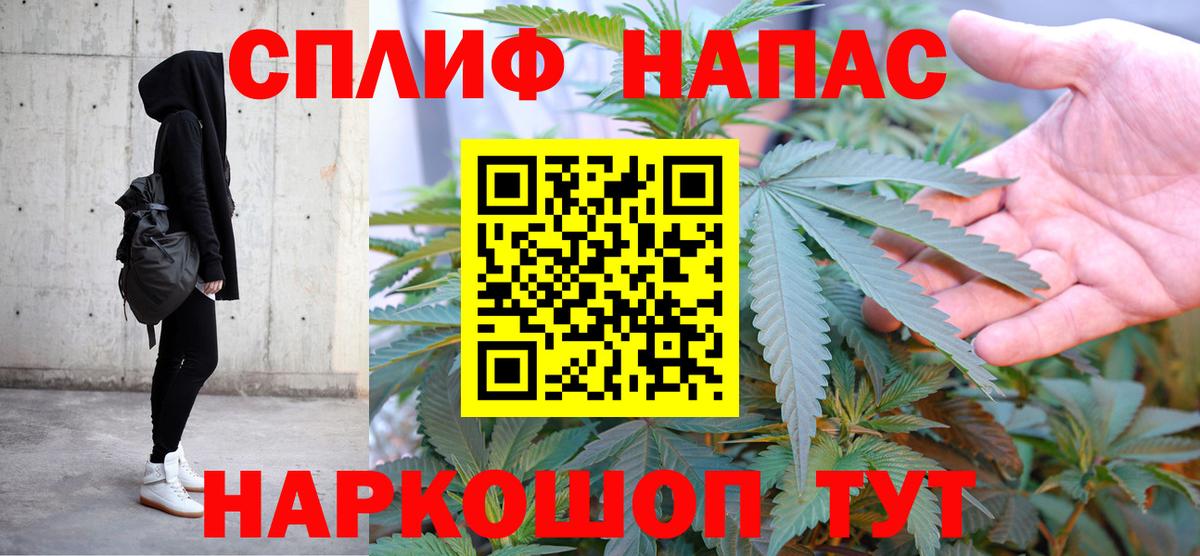 Конопля семена Нальчик